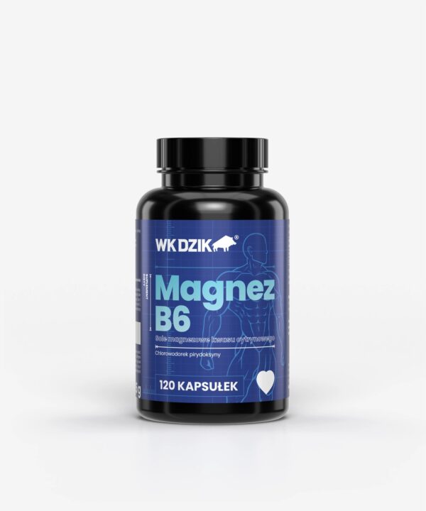 MAGNEZ + WITAMINA B6 DZIK® PRO