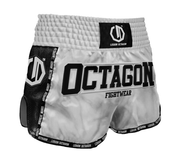 Spodenki Kickboxing/Muay Thai Legion Octagon Future PREMIUM silver
