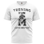 Obraz następnego produktu