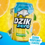 Obraz następnego produktu